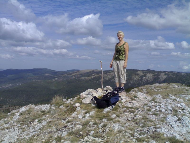 ������ ����������