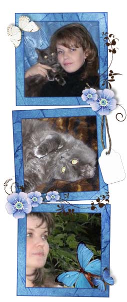 ���� �����