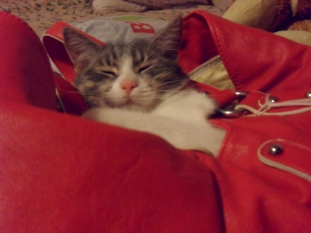 ��� �������