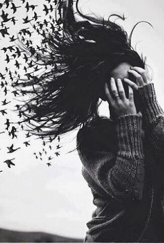 ������ ��� ����