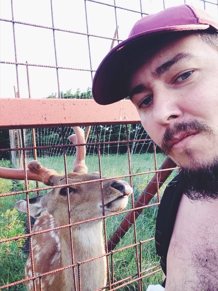 ������ ������