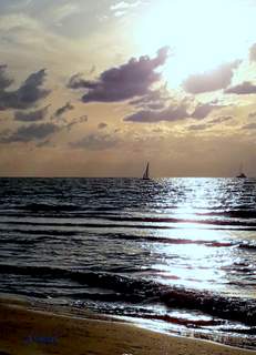 �������� ����