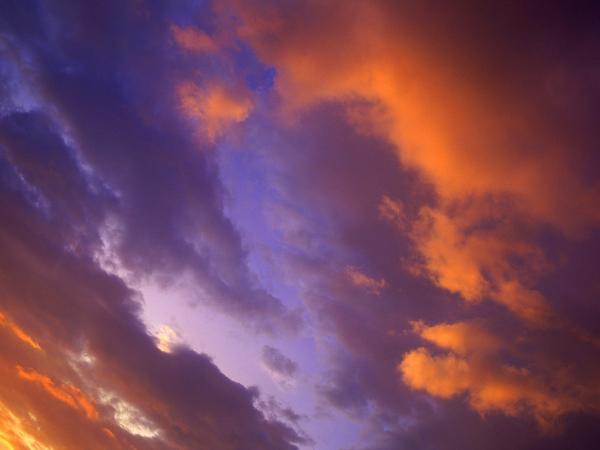 ����� ����������