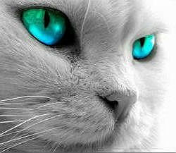 ������ -���