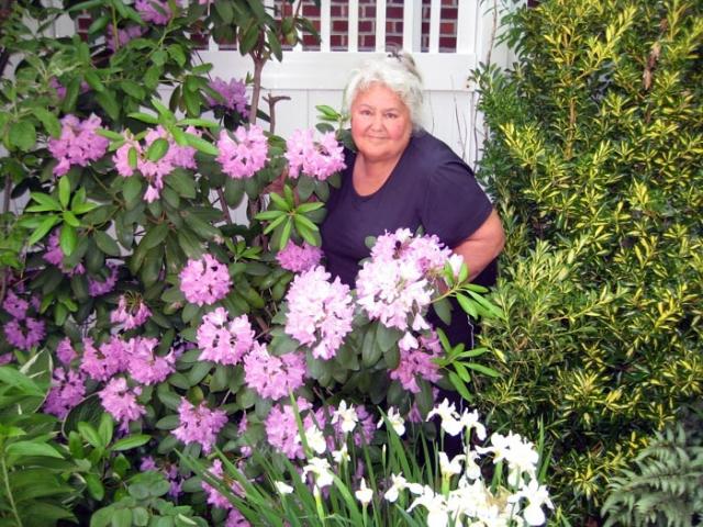 ���� �����������