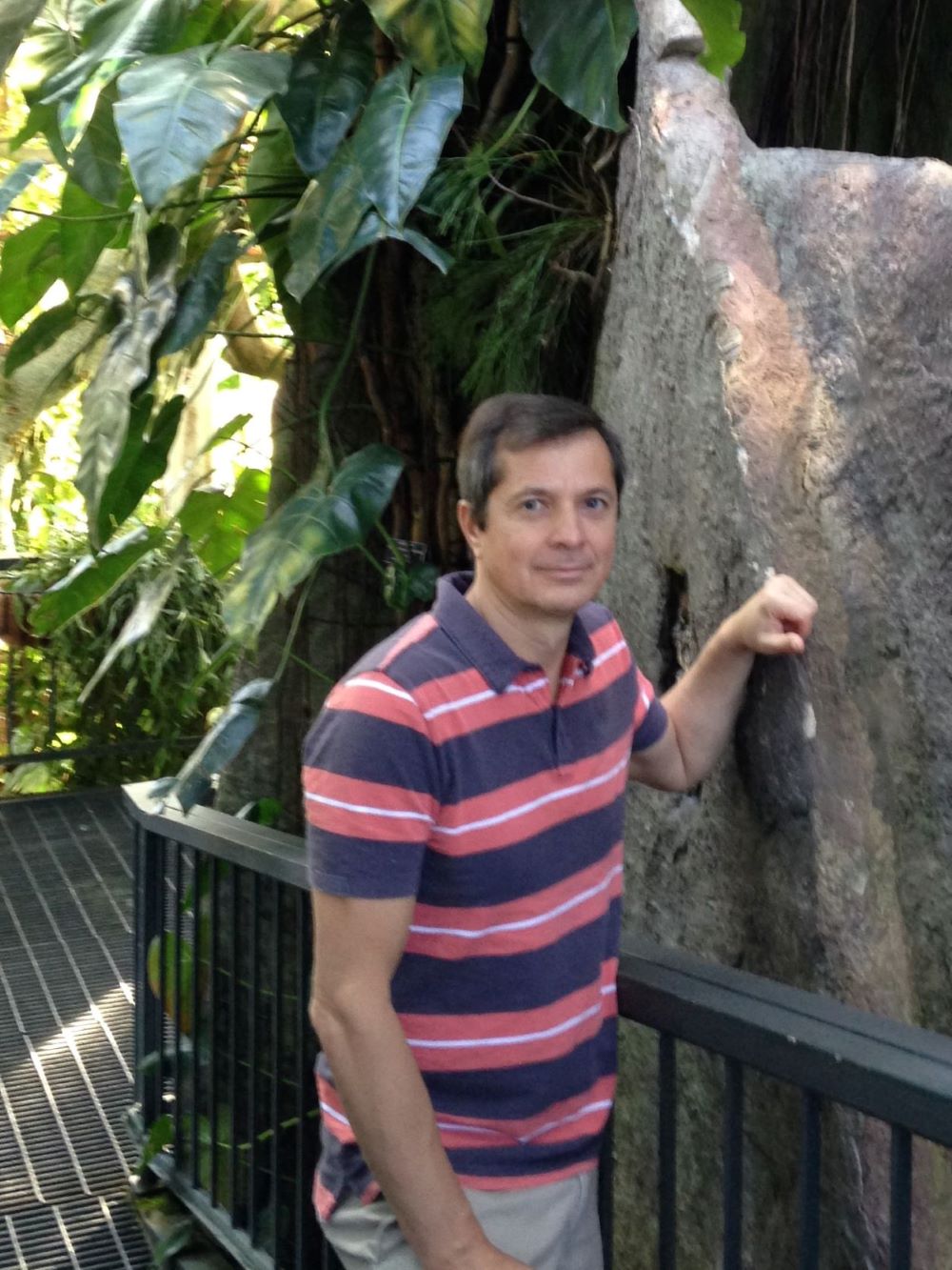 ������ ����� 2