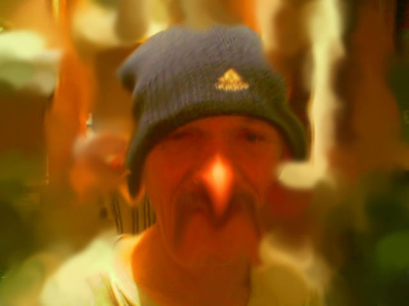 ������ ����