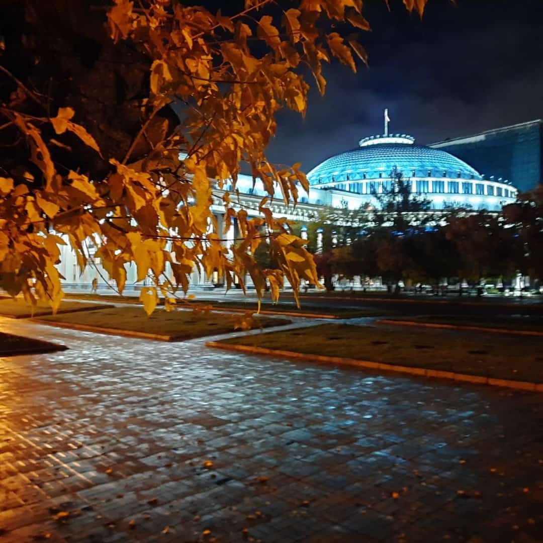 ������ ������