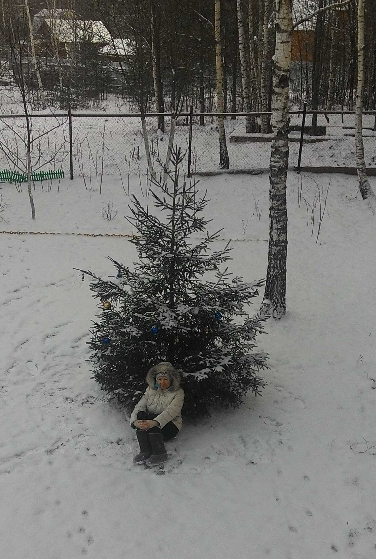 ����� �������� 55