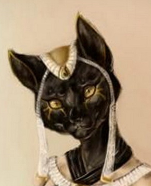 ���� �������