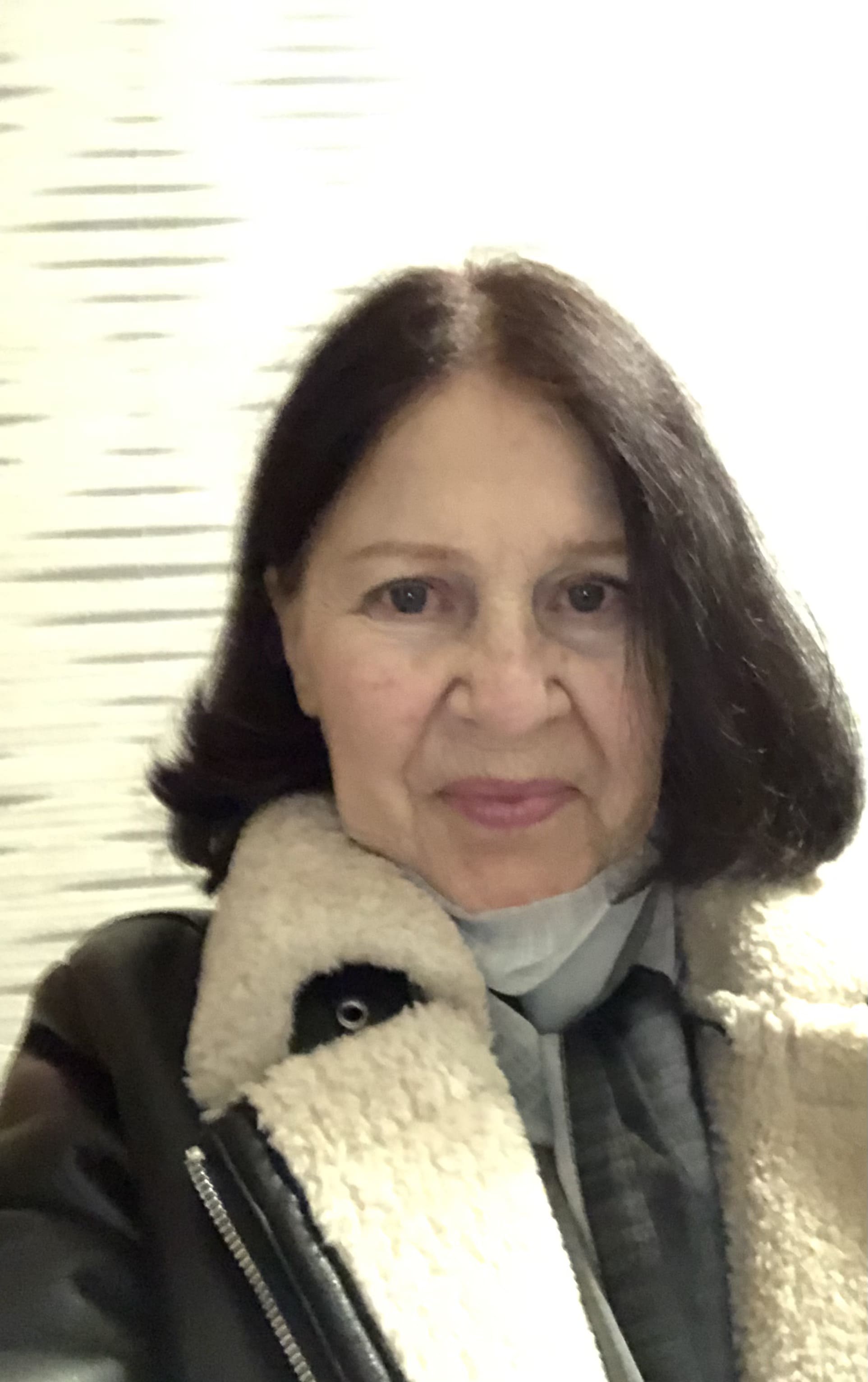 ���� ������