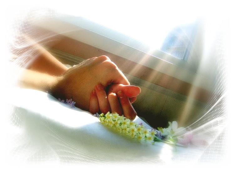 ������� ����������