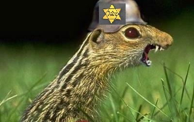 �-���� ������ ����� �����������