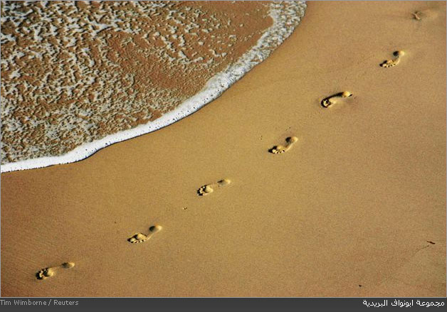 ����� �����