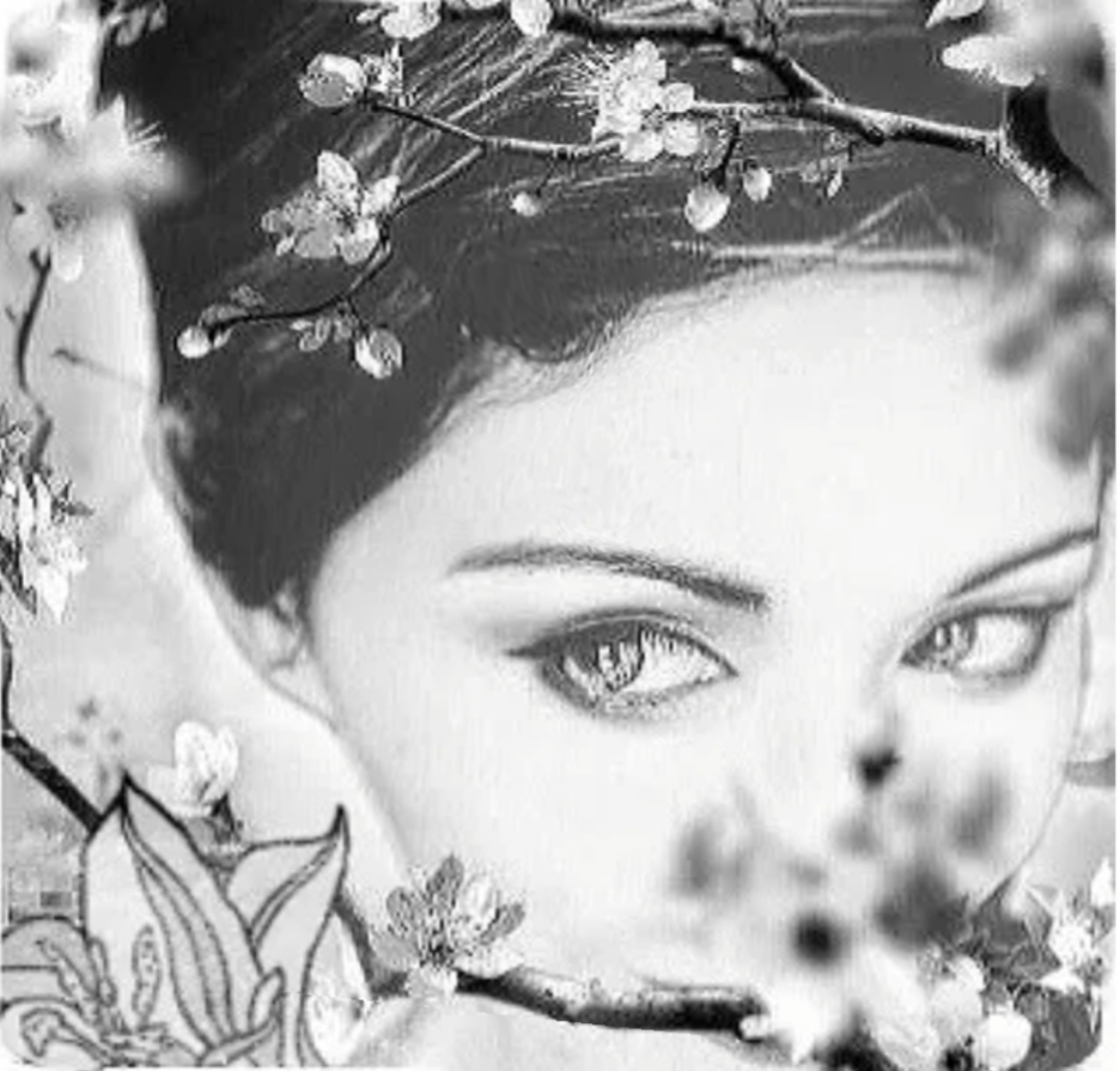 ���� ����