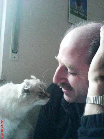 �������� ����������