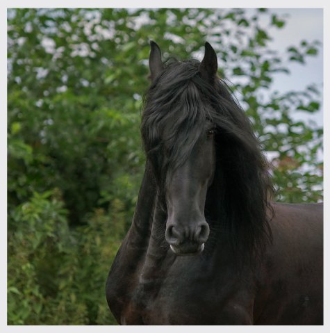 ����� ��������