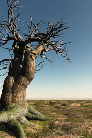 Андрей Дедау