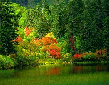 ���� ��������� -���������