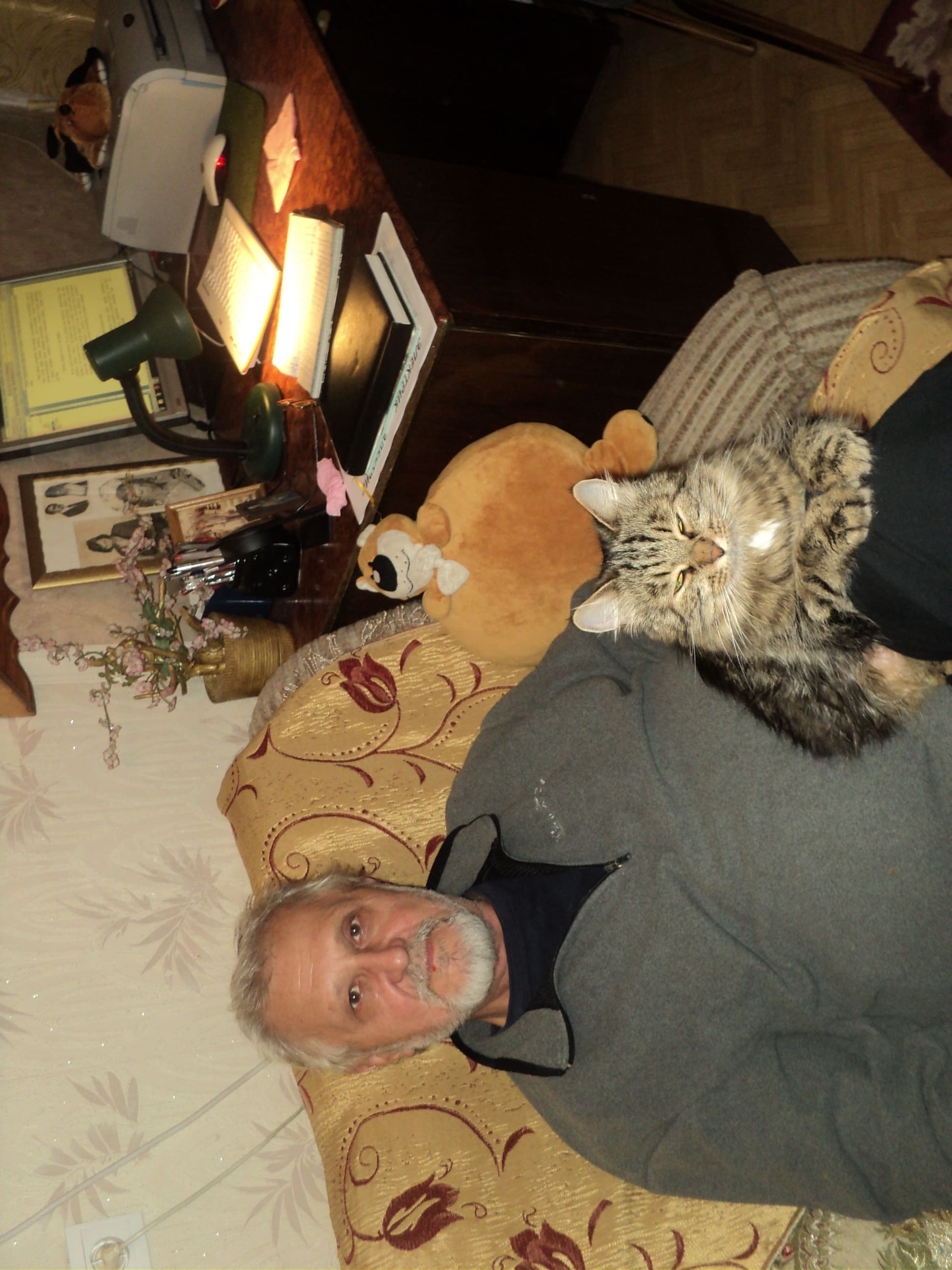 ����� �������� ������