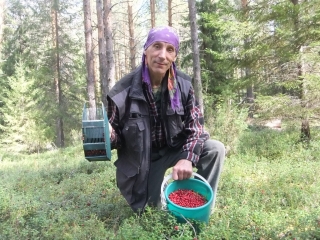 Николай Бечин