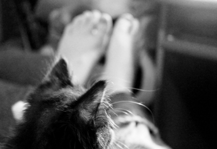 ��� ������