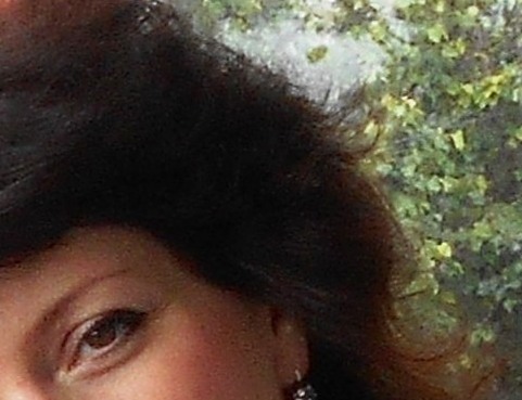 ������ ����