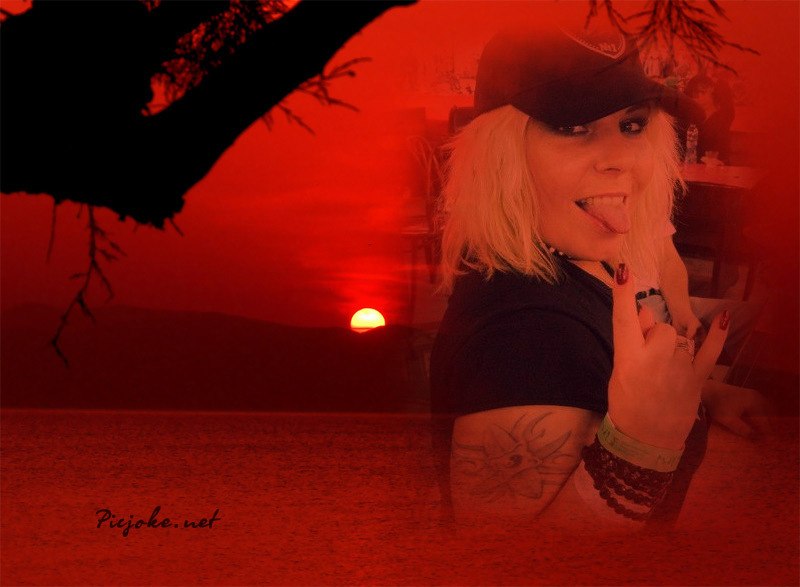 ���� ���������