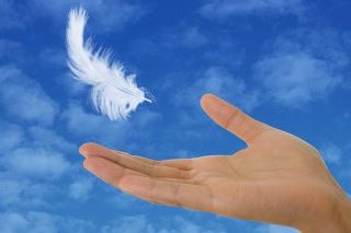 ���� �����