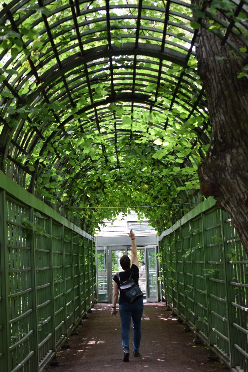 ������� �������