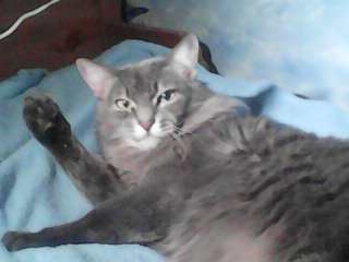 ������ �������