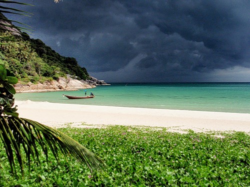 ����� ������