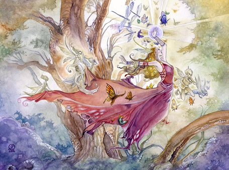 ���� ����