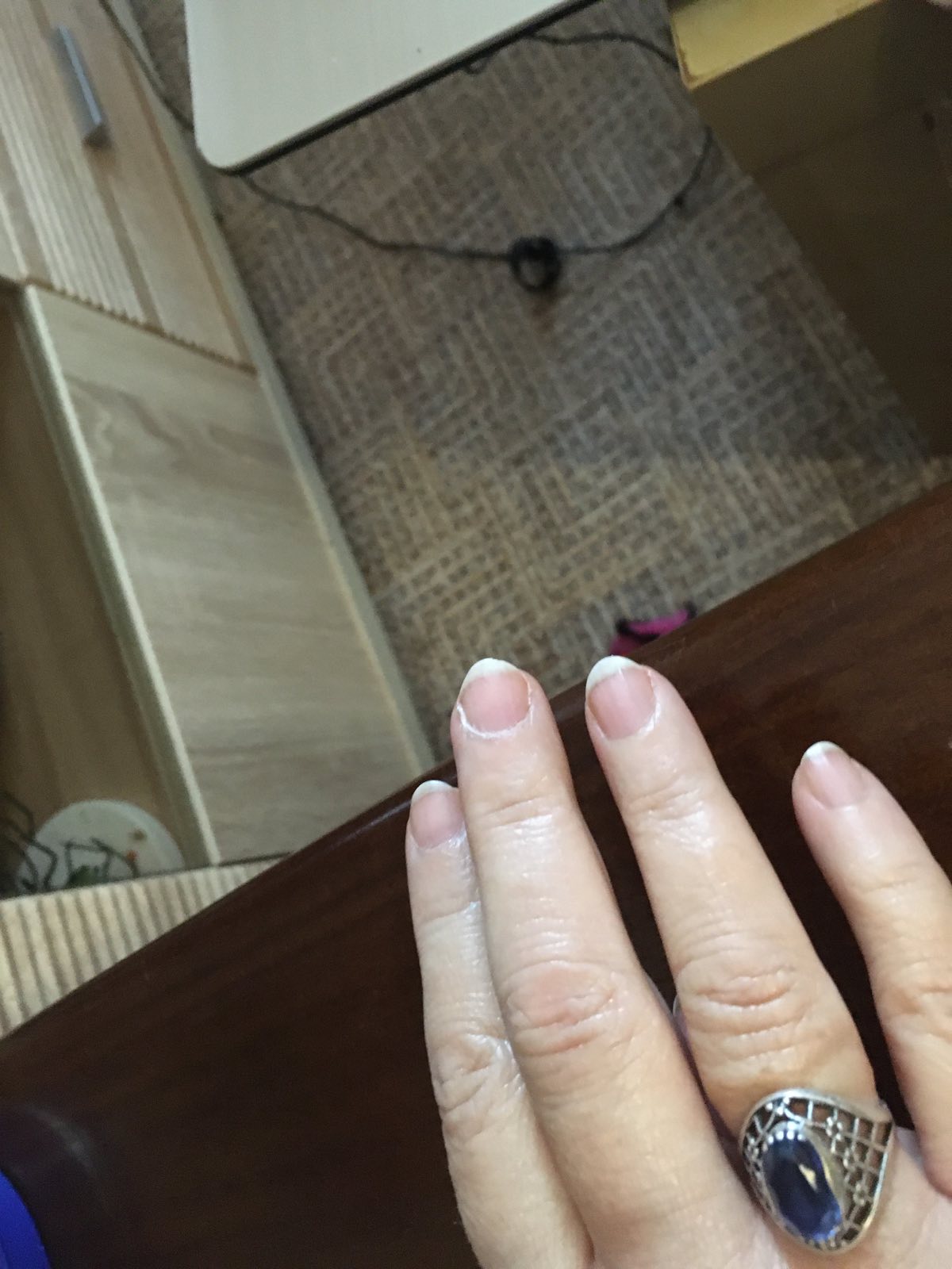 ����� ���������