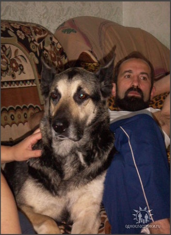 Владимир Белогорский