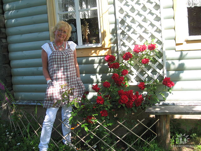 ����� �������