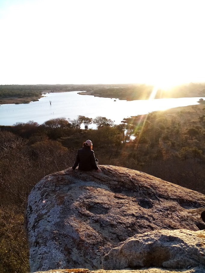 ������ ������������