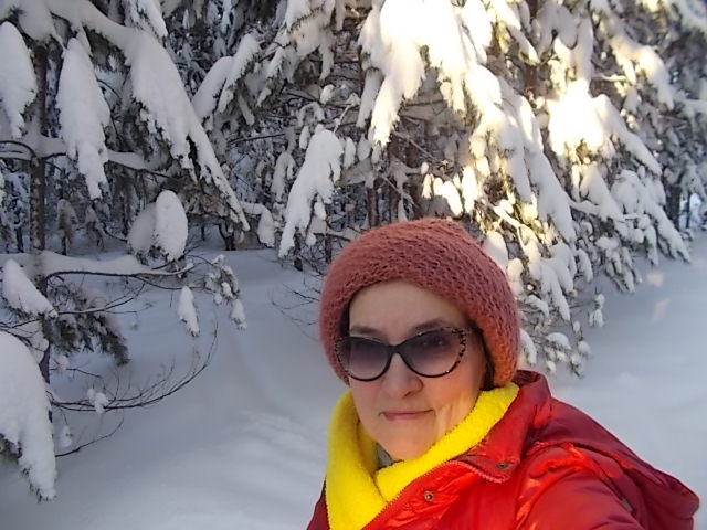 ����� ��������-����������