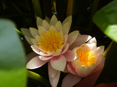 Татьяна Бирюкова