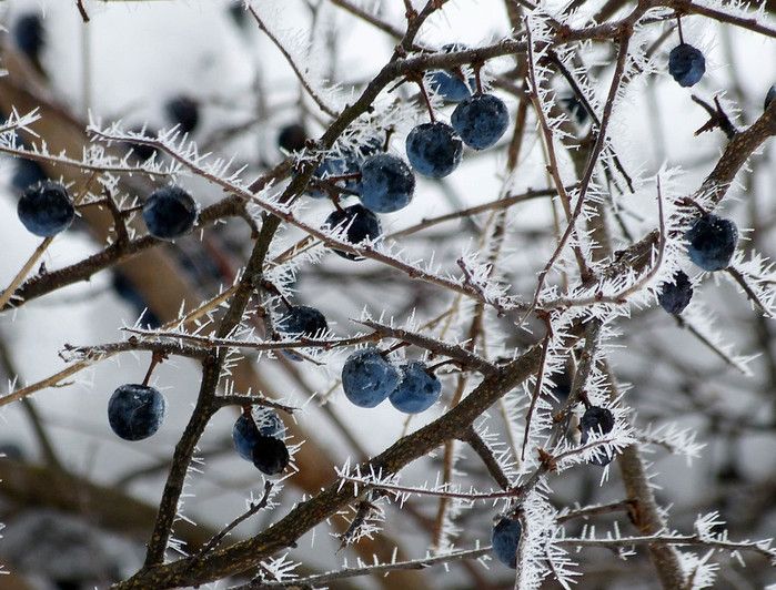 �������� ������