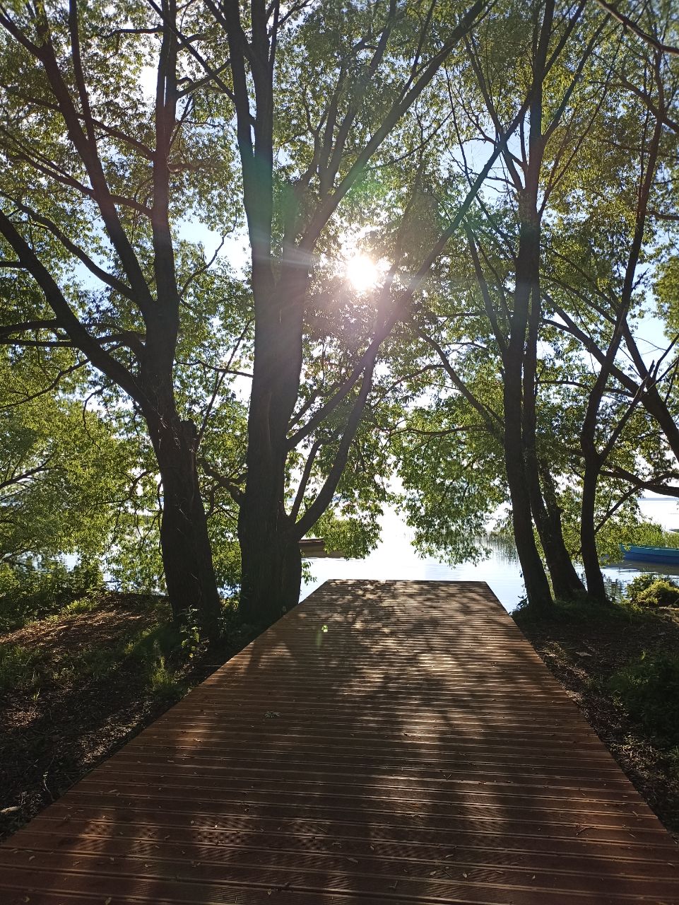 ������� ����������