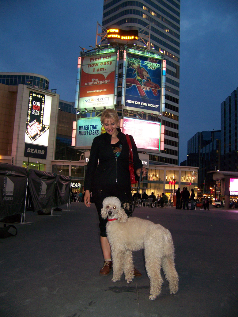 ���������� �������