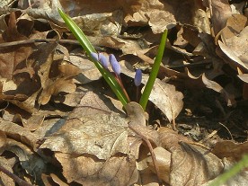 �������� ��������