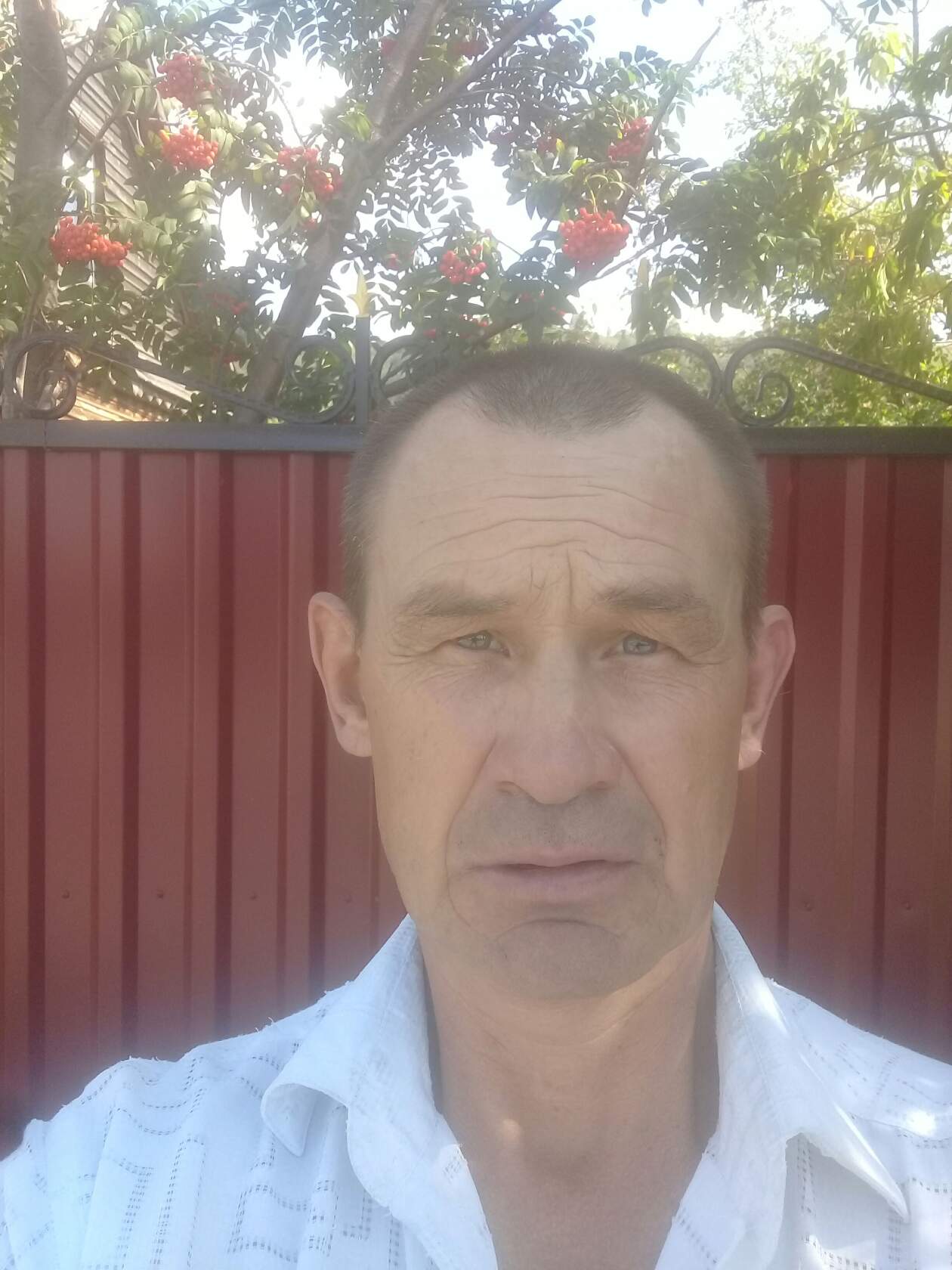 �������� ���������