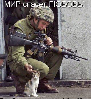 ���� �������