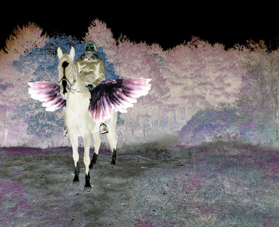 Феникс Фламм