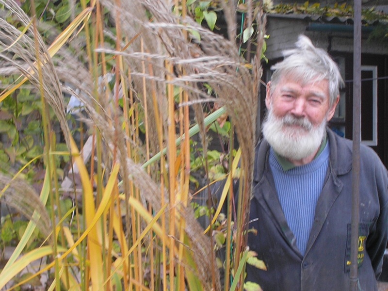 ����� ����