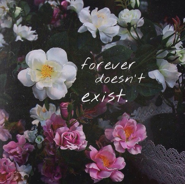 ���� �� ���