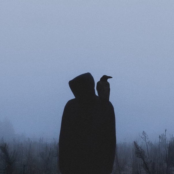 ������ �����