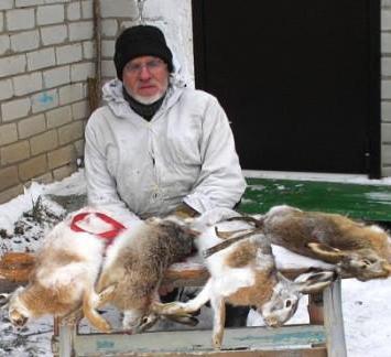 Сергей Шевырёв